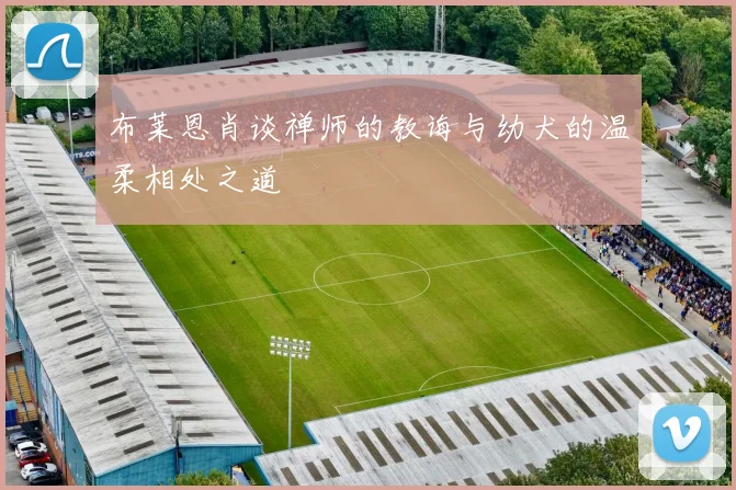 布莱恩肖谈禅师的教诲与幼犬的温柔相处之道