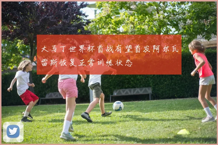 大马丁世界杯首战有望首发阿尔瓦雷斯恢复正常训练状态