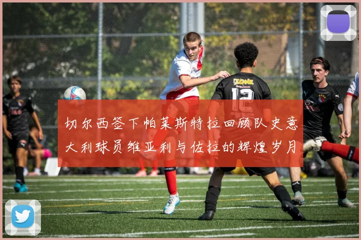 切尔西签下帕莱斯特拉回顾队史意大利球员维亚利与佐拉的辉煌岁月