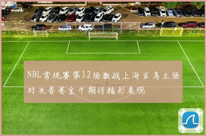 NBL常规赛第12场激战上海玄鸟主场对决香港金牛期待精彩表现